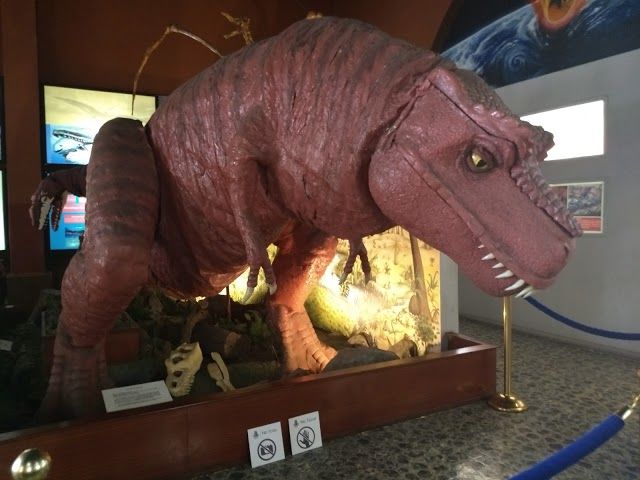 Museo de Historia Natural